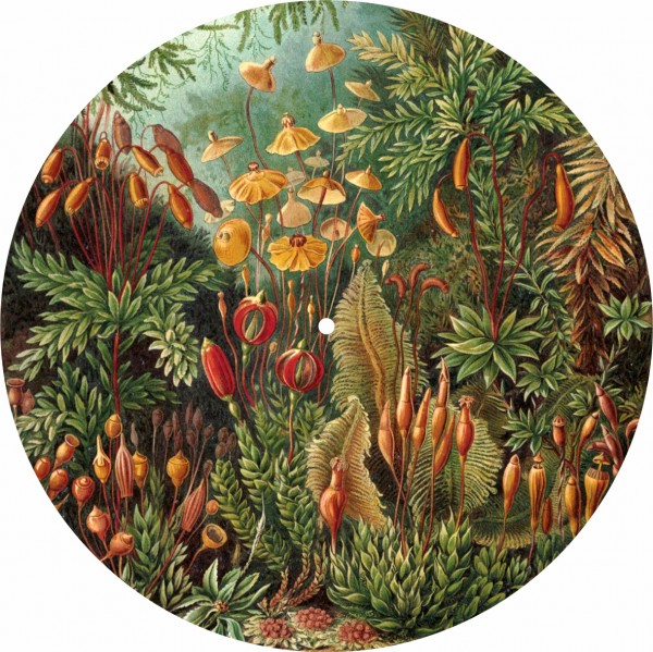 Slipmat Jungle