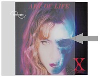 LP Vinyl Schallplatten Album Cover Aussen Hüllen LP Vinyl Schallplatten Album Cover Aussen Hüllen